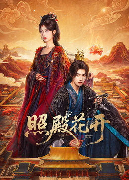 照殿花開(全集)