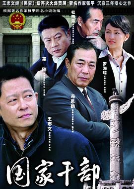 國(guó)家干部王志文版(全集)