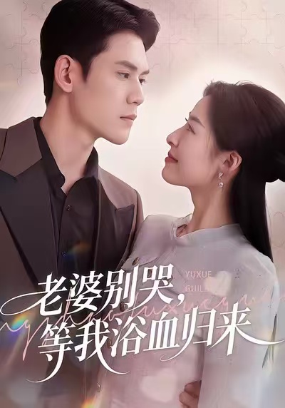 老婆別哭，等我浴血?dú)w來(lái)(全集)