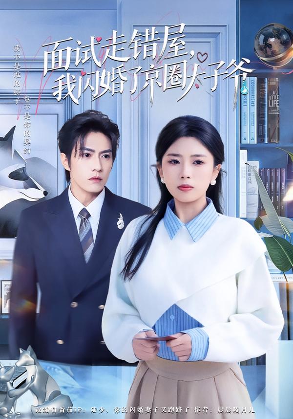 面試走錯(cuò)屋，我閃婚了京圈太子爺(全集)
