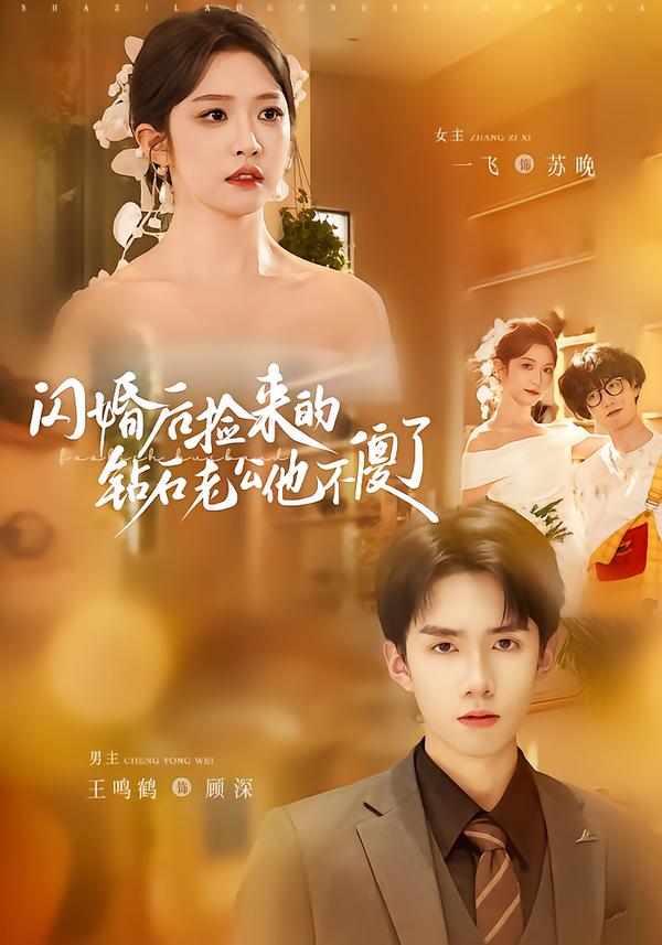 閃婚后撿來的鉆石老公他不傻了