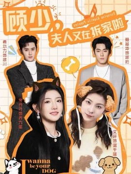 顧少，夫人又在拆家啦(全集)