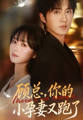 顧總，你的小孕妻又跑了