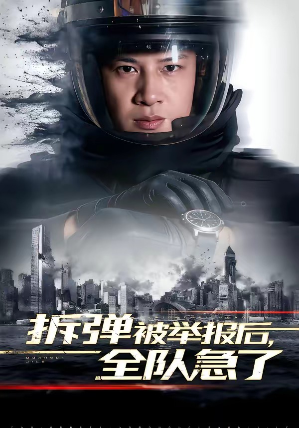 拆彈被舉報(bào)后，全隊(duì)急了(全集)
