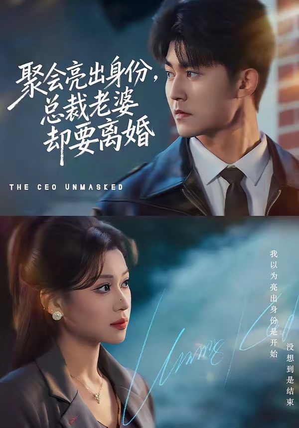 聚會(huì)亮出身份，總裁老婆卻要離婚(全集)